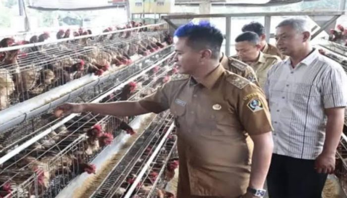 Blitar Genjot Olahan Unggas Siap Saji Bersertifikasi BNSP untuk Pasar Ekspor