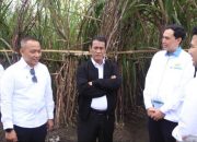 Danantara Indonesia Alokasikan Rp1,5 Triliun untuk Pembelian Gula Pasir Petani yang Belum Terjual