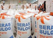 Wamentan RI: Distribusi Beras Ditingkatkan, Cadangan Aman Tanpa Impor