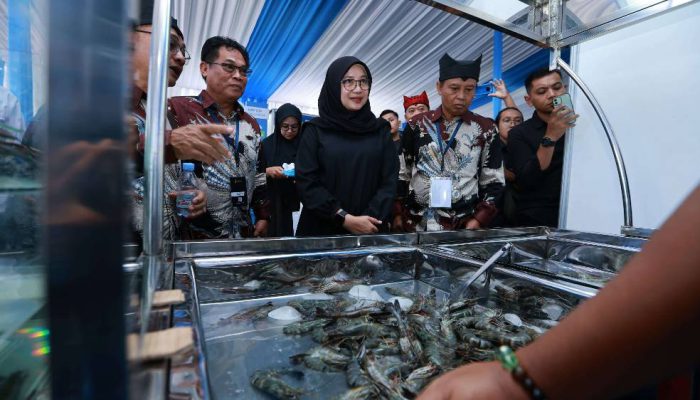 Atasi Hambatan Ekspor AS, Ratusan Pelaku Industri Udang Gelar Shrimp Fair 2025 di Banyuwangi