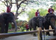 Pemkot Surabaya Jamin Seleksi Dirut KBS Berlangsung Objektif dan Transparan