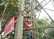 Telkomsel Percepat Pemulihan, Paket Siaga Peduli Gratis Tersedia