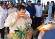 Panen Raya di Karawang, Presiden Prabowo Jajal Produk Pertanian Lokal