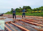 Gakkum Kehutanan Tindak Tegas Peredaran Kayu Ilegal di Kalbar