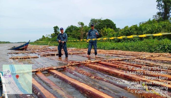 Gakkum Kehutanan Tindak Tegas Peredaran Kayu Ilegal di Kalbar