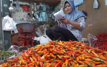 Pasokan Berkurang, Harga Cabai Kediri Meroket