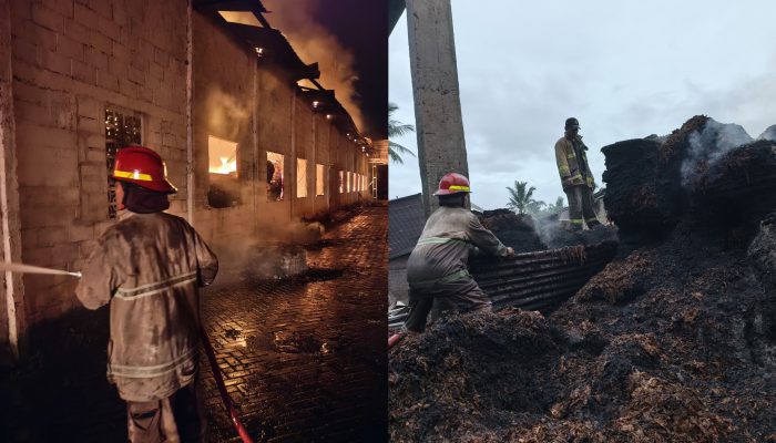 Api Melalap Gudang Tembakau di Jember, Tak Ada Korban Jiwa