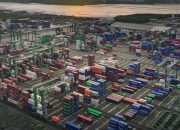 Melesat! Arus Petikemas PT Terminal Teluk Lamong Naik 8,27%