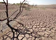 Kemarau 2026 Diprediksi Datang Lebih Awal, BMKG Imbau Antisipasi Cuaca Kering