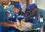 Puluhan Ribu Benih Lobster Ilegal Digagalkan di Bandara Juanda, Nilai Capai Rp1,1 Miliar