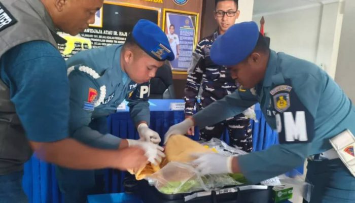 Puluhan Ribu Benih Lobster Ilegal Digagalkan di Bandara Juanda, Nilai Capai Rp1,1 Miliar