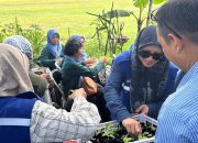 TPS Dorong Peningkatan Literasi Sampah Warga RW 10 Sidotopo Wetan Melalui Kolaborasi Strategis