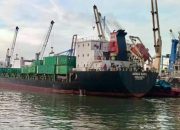 Implementasi EAZI di Tanjung Perak Mulai Diuji, Waktu Tunggu Kapal Ditargetkan Turun