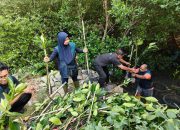 TPS Salurkan 3.000 Bibit Mangrove untuk Rehabilitasi Pesisir Sontoh Laut Surabaya