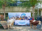 Sambut Iduladha, PT Terminal Teluk Lamong Distribusikan Puluhan Hewan Kurban