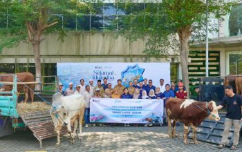 Sambut Iduladha, PT Terminal Teluk Lamong Distribusikan Puluhan Hewan Kurban