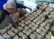 DLH Banyuwangi Ajak Masyarakat Bawa Wadah Sendiri Saat Ambil Daging Kurban