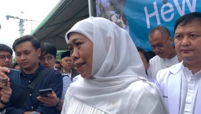 Iduladha 1447 H: Penjualan Hewan Kurban di Jatim Melonjak 30 Persen, Khofifah Sebut Ekosistem Digital Sangat Membantu