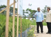 Prabowo Tegaskan Swasembada Pangan Berkelanjutan, NTP Cetak Rekor Tertinggi 34 Tahun.
