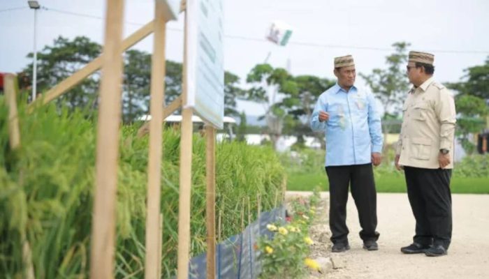 Prabowo Tegaskan Swasembada Pangan Berkelanjutan, NTP Cetak Rekor Tertinggi 34 Tahun.