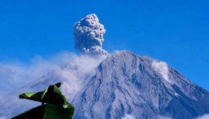 Semeru Kembali Erupsi, Kolom Abu Membumbung hingga 1.200 Meter