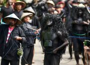 Ribuan Warga Padati Ritual Kebo-keboan Alasmalang, Tradisi Syukur Panen Banyuwangi yang Mendunia