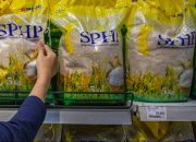 Antisipasi Dampak El Nino Ekstrem, Pemerintah Percepat Penyaluran Beras SPHP Hingga 82 Persen