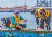Riset Bersama BRIN, TTL Dokumentasikan Kekayaan Biota Laut Kawasan Teluk Lamong