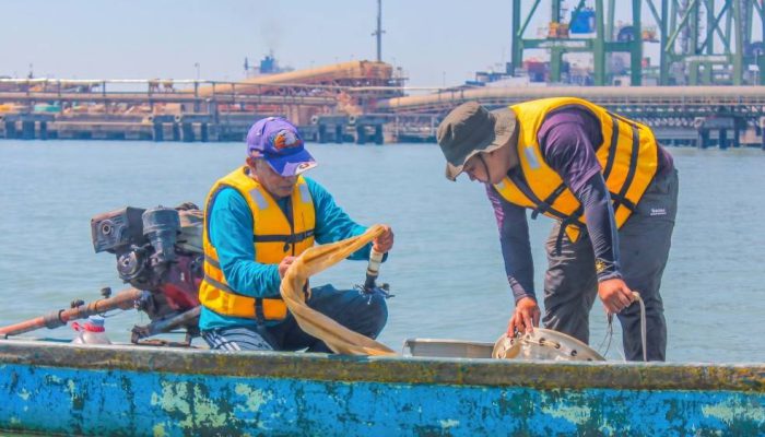 Riset Bersama BRIN, TTL Dokumentasikan Kekayaan Biota Laut Kawasan Teluk Lamong