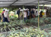 Bogasari Jadi Rujukan Praktik Industri Hijau, 40 Praktisi Sustainability Lakukan Studi Banding