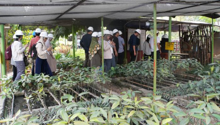 Bogasari Jadi Rujukan Praktik Industri Hijau, 40 Praktisi Sustainability Lakukan Studi Banding