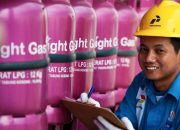 Mulai 15 Agustus, Pertamina Turunkan Harga Bright Gas 5,5 Kg dan 12 Kg
