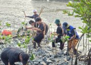 TPS Serahkan 3.000 Bibit Mangrove ke DLH Surabaya, Ditanam di Tambak Sarioso