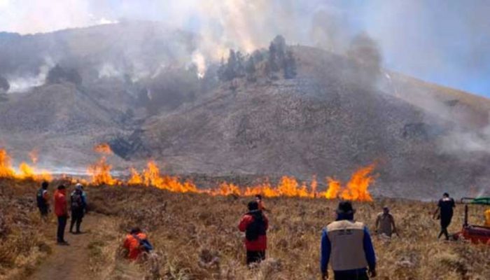 Sempat Ditutup 13 Hari Akibat Kebakaran, TN Bromo Tengger Semeru Kembali Dibuka 20 Agustus