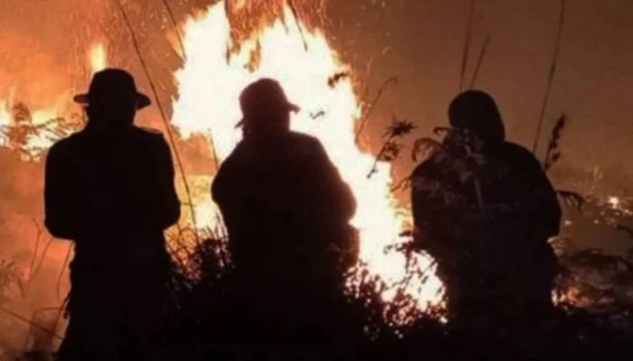 BPBD Banyuwangi Tetapkan Empat Kecamatan Rawan Tertinggi Karhutla