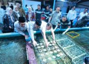 Ekspor Koral Banyuwangi ke AS Capai 2.500 Dolar AS