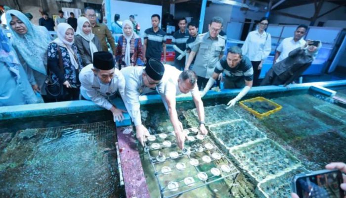 Ekspor Koral Banyuwangi ke AS Capai 2.500 Dolar AS