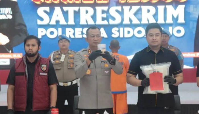 Polisi Gagalkan Penyelundupan Benih Lobster Rp4,6 Miliar di Bandara Juanda