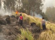 Kebakaran Gunung Bromo Diselidiki, Kementerian Kehutanan Buru Dugaan Tindak Pidana