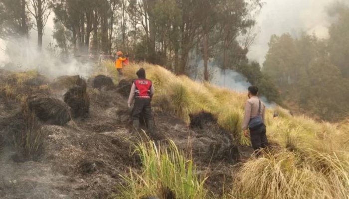Kebakaran Gunung Bromo Diselidiki, Kementerian Kehutanan Buru Dugaan Tindak Pidana