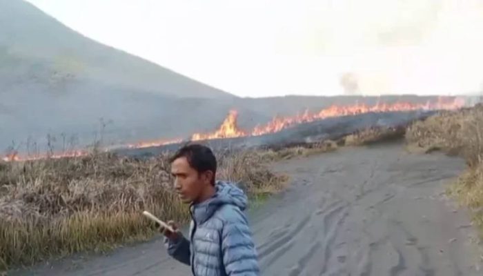 Kebakaran Bromo Meluas, Api Capai Bukit Teletubbies dan Bergerak ke Malang
