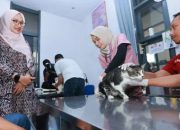 315 Hewan Peliharaan Divaksin Rabies Gratis, Banyuwangi Pertahankan Status Zero Rabies