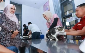 315 Hewan Peliharaan Divaksin Rabies Gratis, Banyuwangi Pertahankan Status Zero Rabies