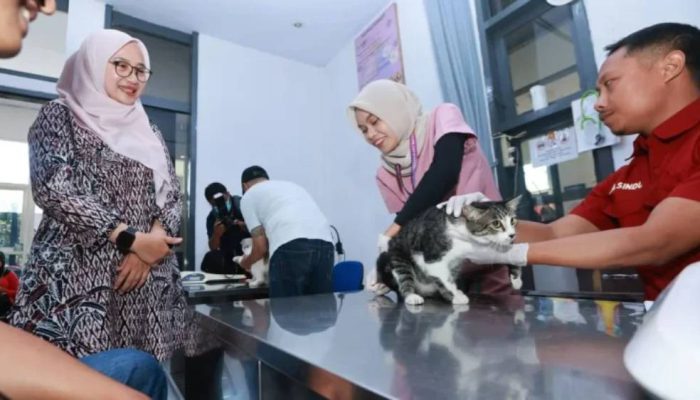 315 Hewan Peliharaan Divaksin Rabies Gratis, Banyuwangi Pertahankan Status Zero Rabies