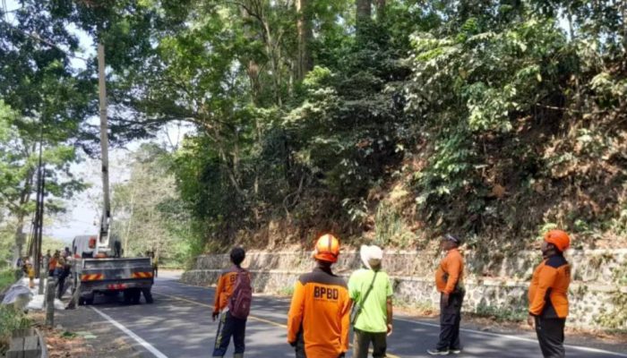 Cegah Kerusakan Jalan dan Longsor, Tim Gabungan Tangani Retakan di Gunung Gumitir